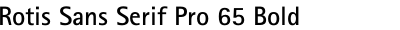 Rotis Sans Serif Pro 65 Bold
